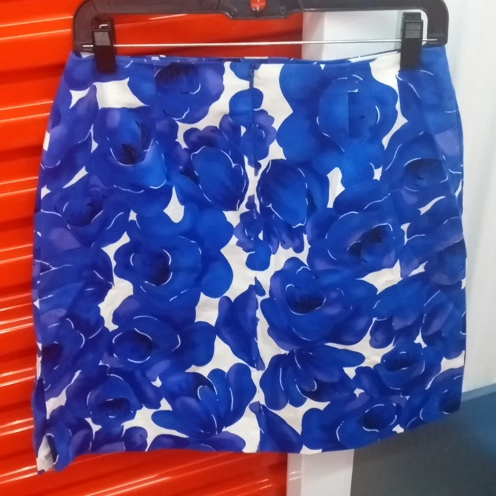 Women's Briggs size 12 skirt - Picture 2 of 2